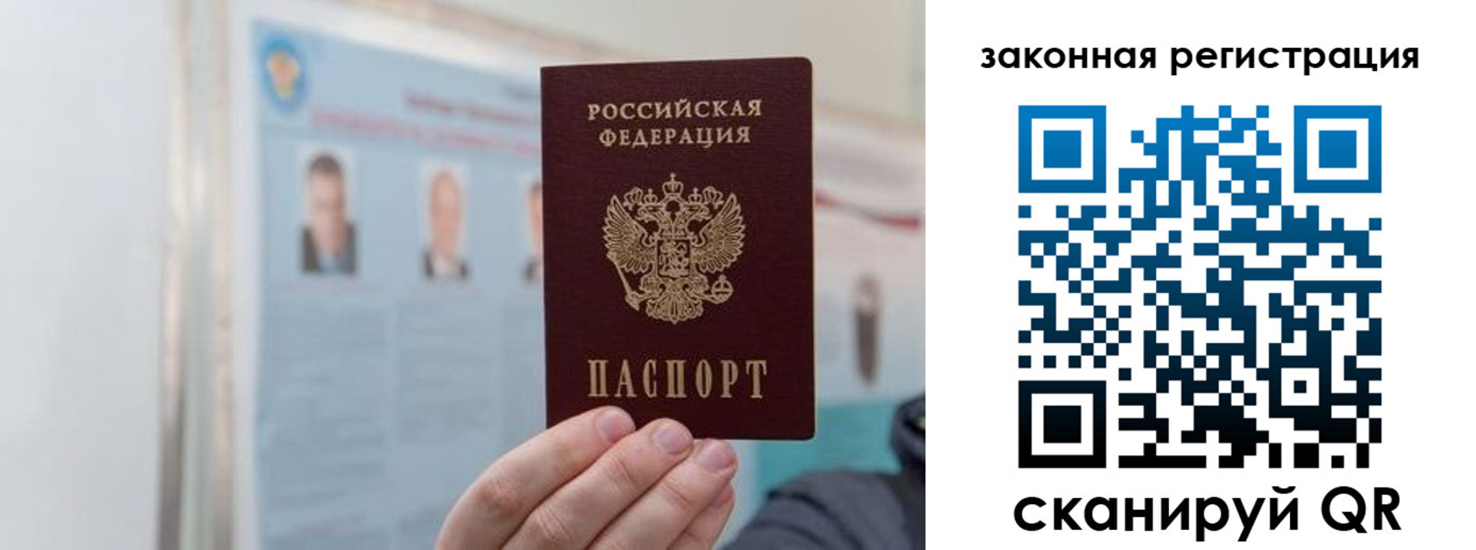 прописка законно в Александровске